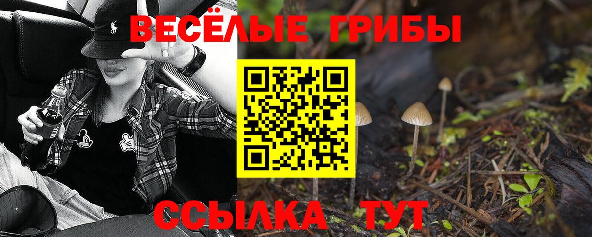 Губкинский  Галлюциногенные грибы мицелий  Вход с VPN 
